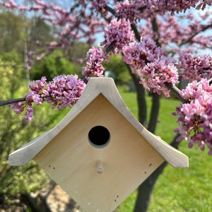 Handmade Wooden wren birdhouse maple/poplar/pine to paint bird house multiple available