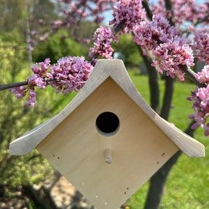 Handmade Wooden wren birdhouse maple/poplar/pine to paint bird house multiple available