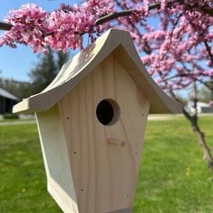 Handmade Wooden birdhouse craft project to paint sturdy multiple available bird house unfinished