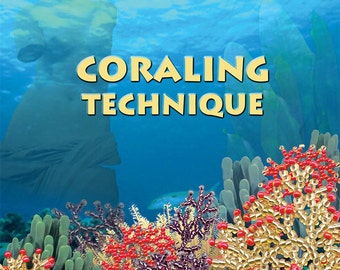 PDF Libro patrones tutoriales de joyería con cuentas de semillas collar de cuentas pulsera pendientes patrones cuentas cuentas abalorios patrones de cuentas libro PDF