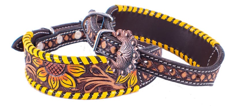 tooled leather dog collar