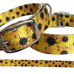 Sunflower designed nylon dog collar