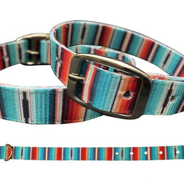 Teal Serape Nylon Dog Collar