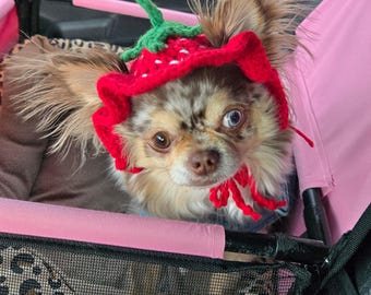 Crochet Strawberry Dog Hat – Sweet & Adorable for Small Dogs - Handmade