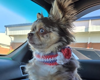 Pet Clothing Accessories
