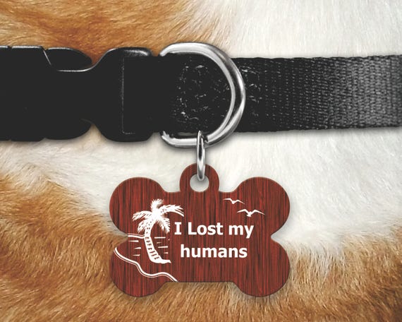 i lost my dog tags
