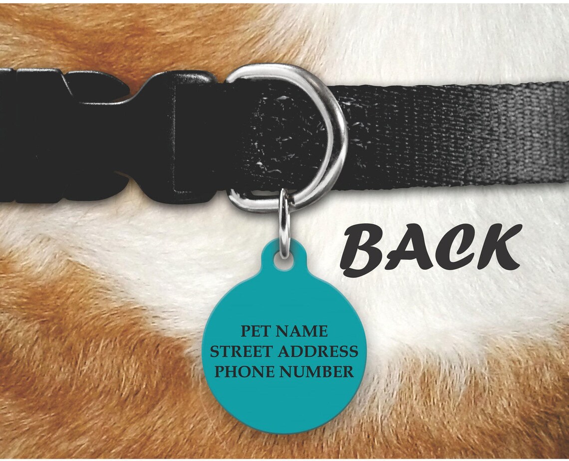 Beagle Pet Tag Beagle Pet ID Tag Beagle Dog Tag Dog Tag for Etsy