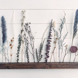 Pu&ograve; includere: Un espositore da parete in legno con fiori e erbe secche in tubi di vetro. L'espositore presenta una variet&agrave; di colori e trame, tra cui blu, viola, bianco e marrone.