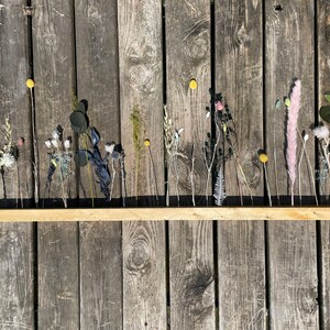 K&ouml;nnte beinhalten: Ein Holzregal mit getrockneten Blumen und Gr&uuml;npflanzen in einer Reihe angeordnet. Das Regal ist an einer Holzwand montiert. Die Blumen sind in verschiedenen Farben, darunter rosa, gelb und gr&uuml;n.