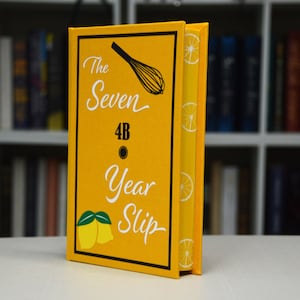 The Seven Year Slip by Ashley Poston rebound hardcover book