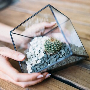 Glass geometric Terrarium - Handmade Geometric Terrarium - Glass Cube - Glass Planter- Home decor - Wedding table decor - Table centerpiece