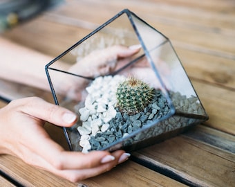 Glass geometric Terrarium - Handmade Geometric Terrarium - Glass Cube - Glass Planter- Home decor - Wedding table decor - Table centerpiece