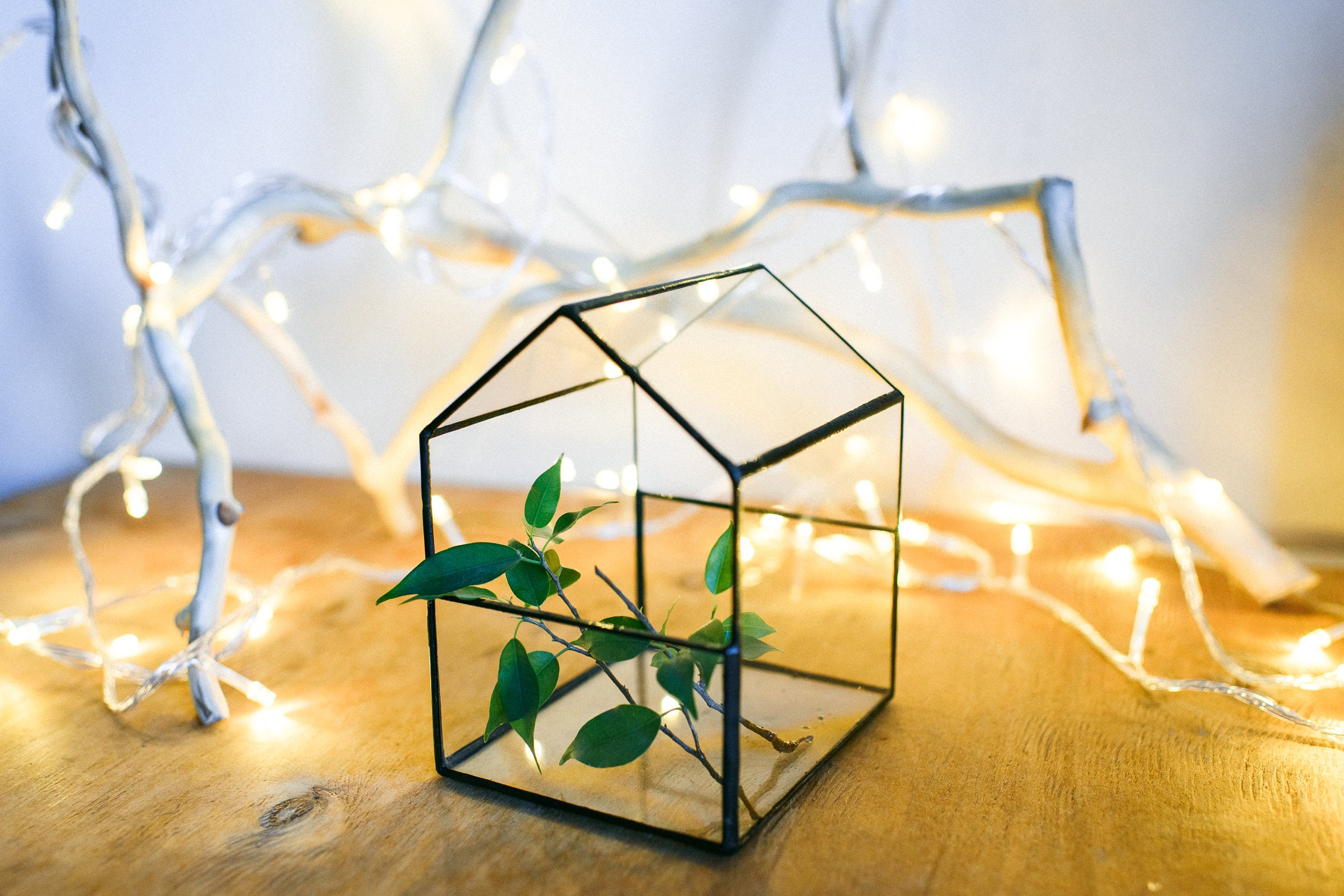 Glass House Planter Terrarium Geometric Form Flower Etsy