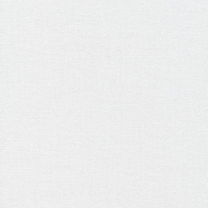 May include: A close-up shot of a white, textured surface. The texture appears to be a fine, slightly uneven pattern, creating a subtle visual depth. The overall impression is clean and minimalist.