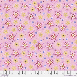 Welcome Home by Anna Maria Horner | Little Nashville Spring | Free Spirit Cotton Fabrics | Sold by 1/2 Yard – Continual Cut