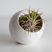 see more listings in the Ceramic Planters section