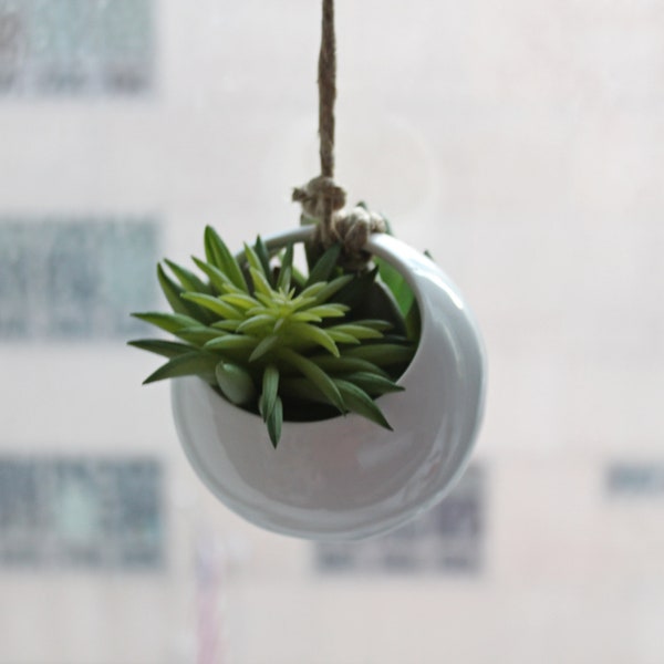 Hanging Succulent Planter | Hanging Air Plant Display | Shelf Decor