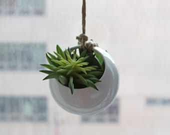 Hanging Succulent Planter | Hanging Air Plant Display | Shelf Decor