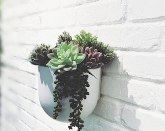 Wall Mounted Planters | Floating Wall Planter