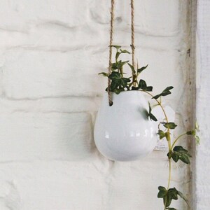 Mini Ceramic Succulent Planter Hanging Air Plant Display image 1