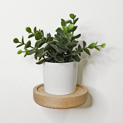 Small Round Shelf Plant Shelf Wall Plant Holder Floating Etsy