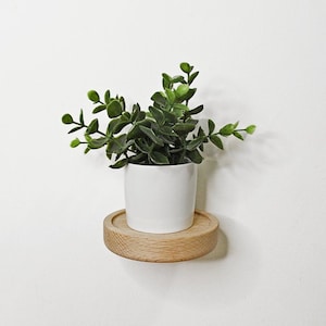 Floating Plant Shelf | Minimalist Succulent Display Shelf | Round Wooden Wall Mount Shelf
