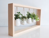 Indoor Herb Garden in Wooden Frame Wall Mount Planter Living Plant Wall White Ceramic Pots Hanging Planter Botanical Wall Art