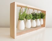 Indoor Herb Garden in Wooden Frame Wall Mount Planter Plant Gift Fall Decor Hanging Planter Pot for Indoor Plants