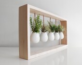Indoor Succulent Garden in Wooden Frame Wall Mount Planter Air Plant Gift Hanging Planter Pot for Indoor Plants Gift for Mom