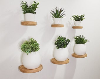 Set of 3 Floating Plant Shelves | Minimalist Succulent Display Shelf | Round Wooden Wall Mount Shelf