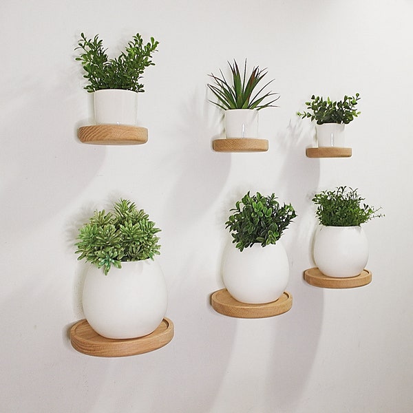 Set of 3 Floating Plant Shelves | Minimalist Succulent Display Shelf | Round Wooden Wall Mount Shelf