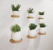 Set of 3 Floating Plant Shelves | Minimalist Succulent Display Shelf | Round Wooden Wall Mount Shelf 