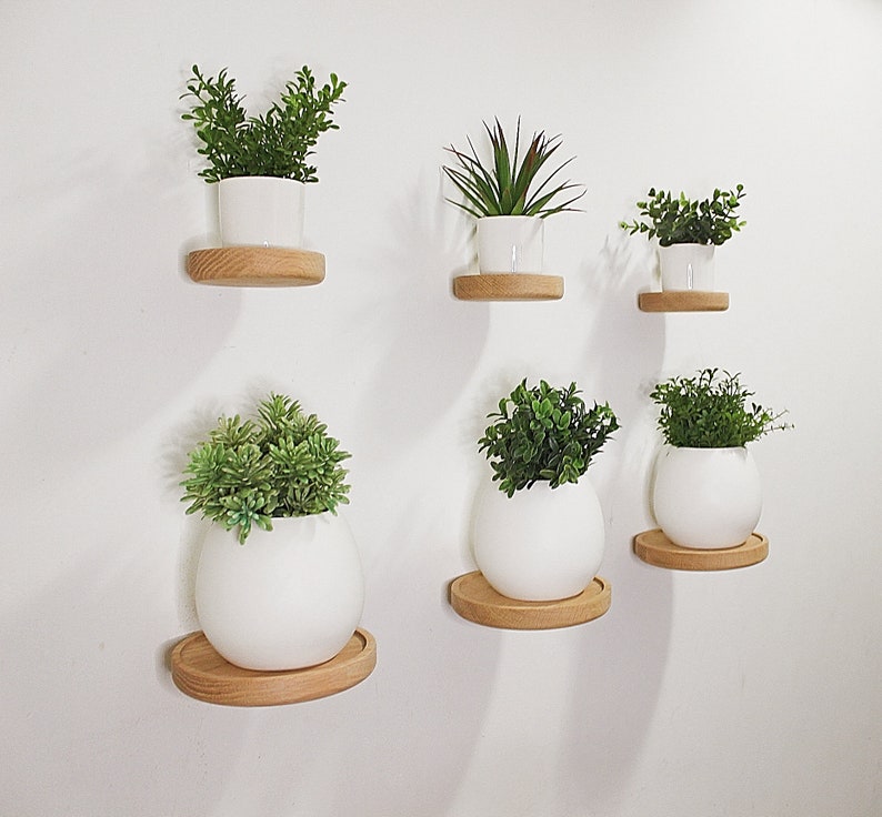 Set of 3 Floating Plant Shelves Minimalist Succulent Display Shelf Round Wooden Wall Mount Shelf image 1