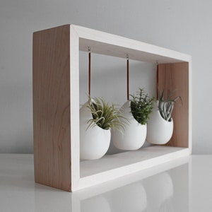 Modern Air Plant Display | Hanging Air Plant Garden in Wooden Frame | Indoor Pots for Plants | Gift for Plant Lover | Plant Decor