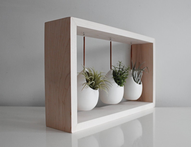 Modern Air Plant Display Hanging Air Plant Garden in Wooden Frame Indoor Pots for Plants Gift for Plant Lover Plant Decor image 1