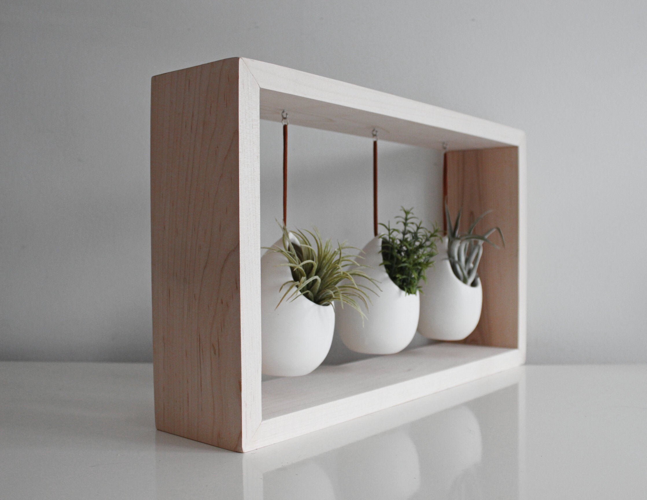 Modern Air Plant Display Hanging Air Plant Garden in Wooden Etsy
