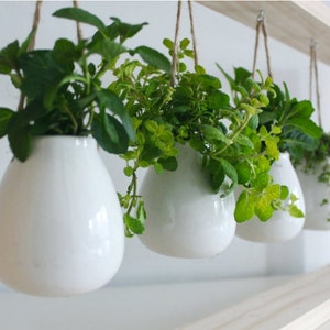 Mini Ceramic Succulent Planter Hanging Air Plant Display image 2