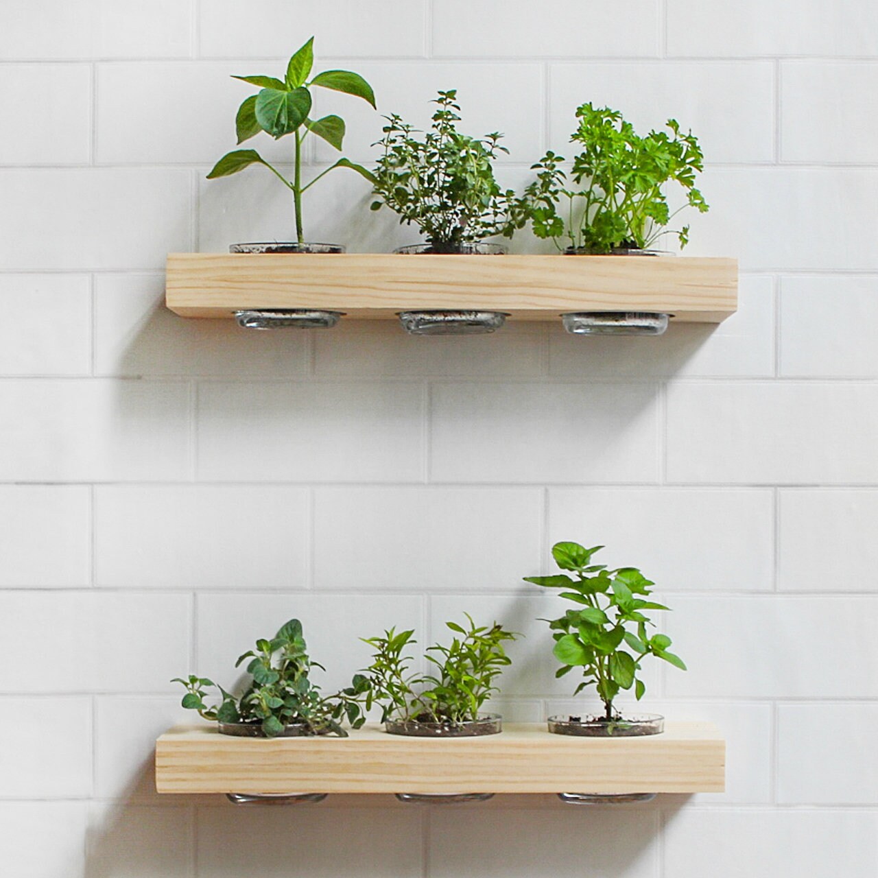 Floating Shelf Garden Wall Mount Indoor Herb Garden Etsy
