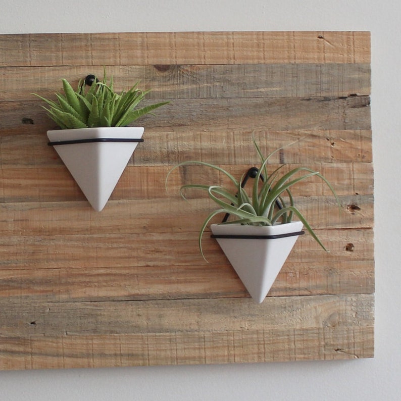 Geometric Succulent Wall Planter Indoor Wall Planter Made