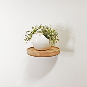 Set of 3 Floating Plant Shelves Minimalist Succulent Display Shelf Round Wooden Wall Mount Shelf image 3