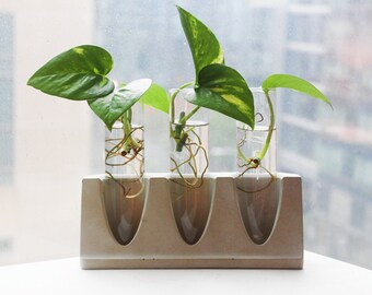 Plant Propagation Station with 3 Glass Vials | Concrete Planter | Hydroponic Vase