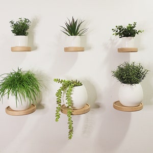 Set of 3 Floating Plant Shelves Minimalist Succulent Display Shelf Round Wooden Wall Mount Shelf image 2