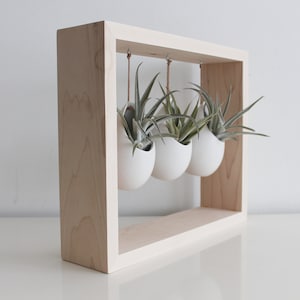 Modern Air Plant Display Hanging Air Plant Garden in Wooden Frame Indoor Pots for Plants Gift for Plant Lover Plant Decor image 5