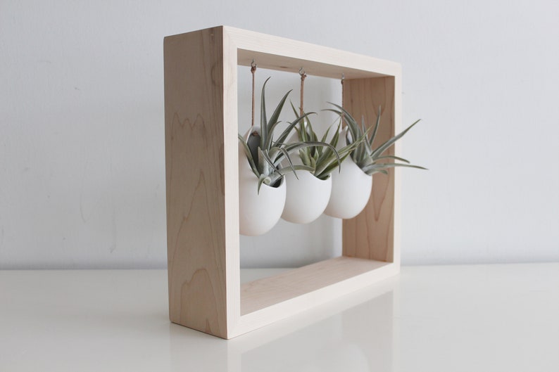 Modern Air Plant Display Hanging Air Plant Garden in Wooden Frame Indoor Pots for Plants Gift for Plant Lover Plant Decor image 5