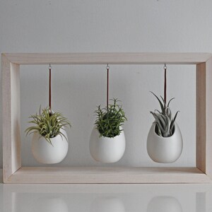 Modern Air Plant Display Hanging Air Plant Garden in Wooden Frame Indoor Pots for Plants Gift for Plant Lover Plant Decor image 2