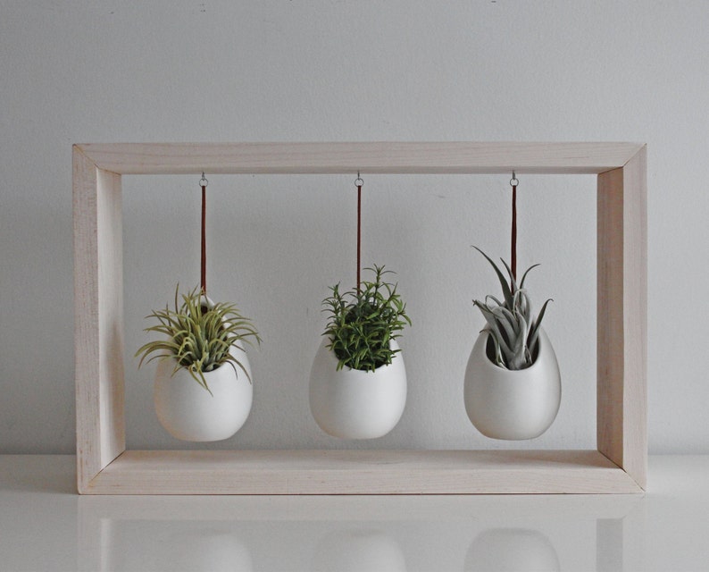 Modern Air Plant Display Hanging Air Plant Garden in Wooden Frame Indoor Pots for Plants Gift for Plant Lover Plant Decor image 2