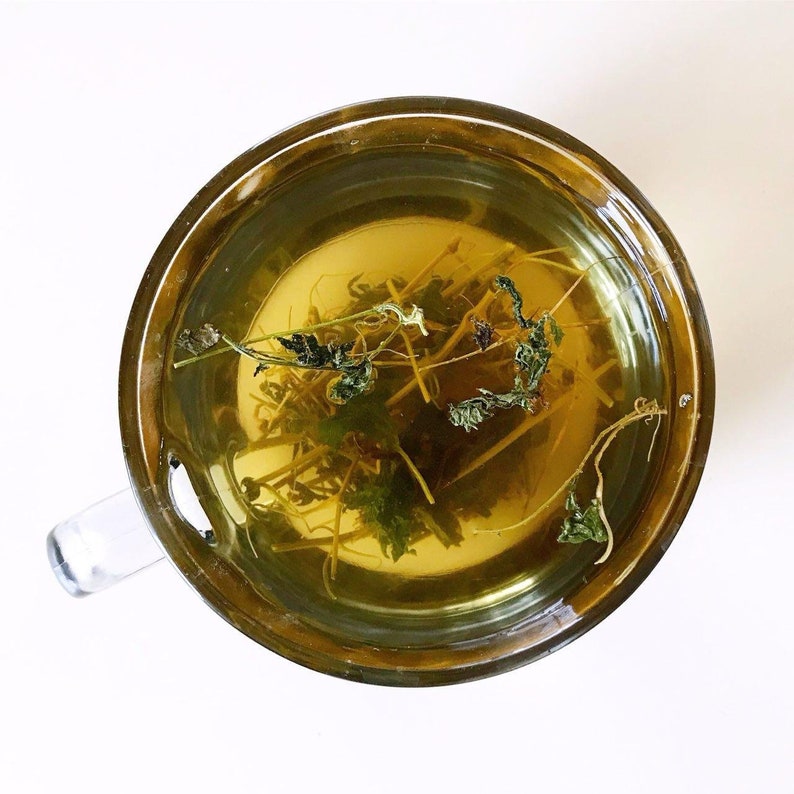 Jamaican Cerasse Tea Bags / Bitter Melon Herbal Tea / Karela Etsy