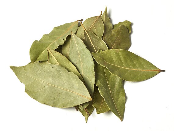 Whole Bay Leaves Whole Bay Leaf Bayleaf Etsy