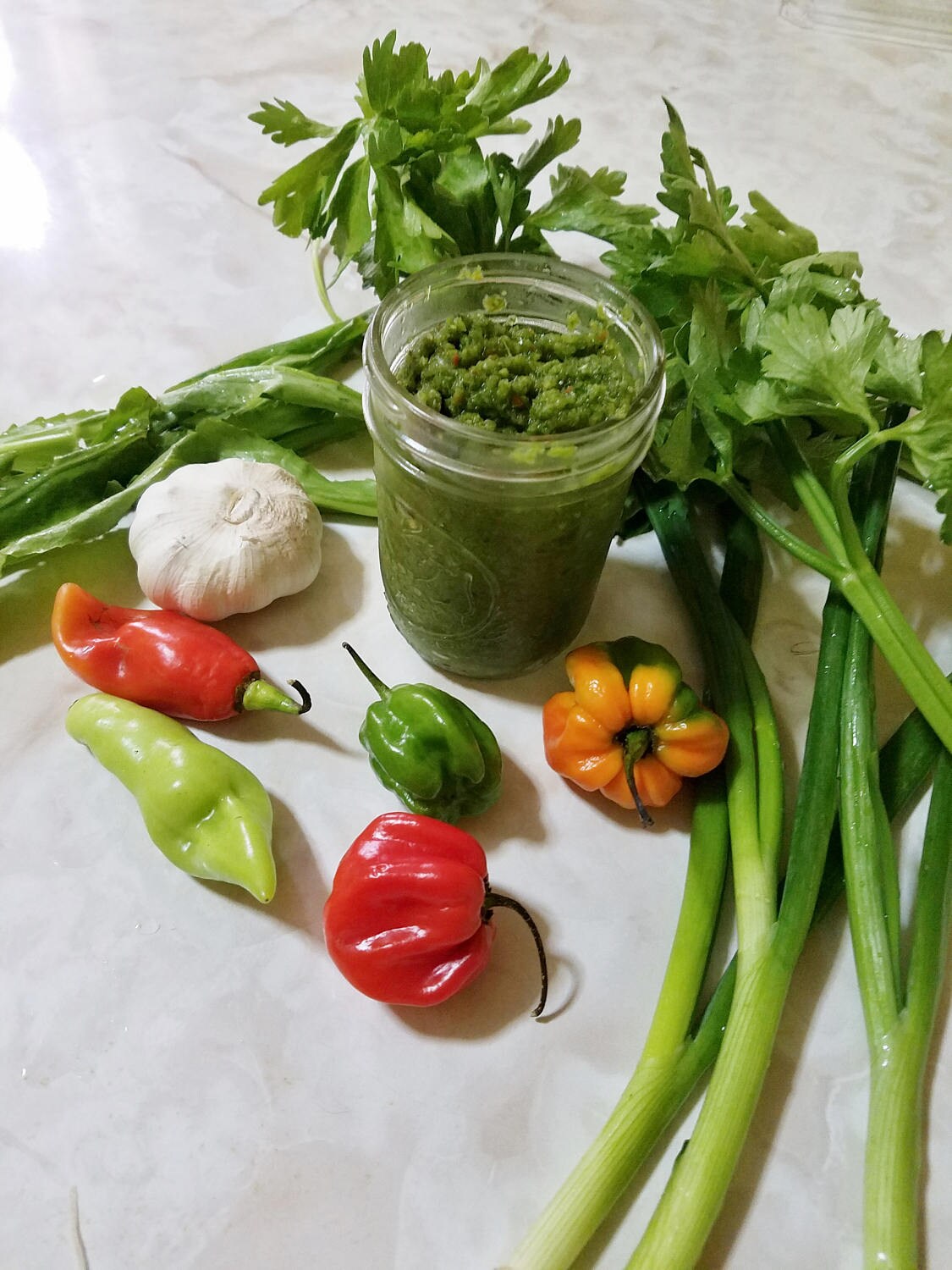 Trinidad Green Seasoning Caribbean /West Indian /Green Etsy