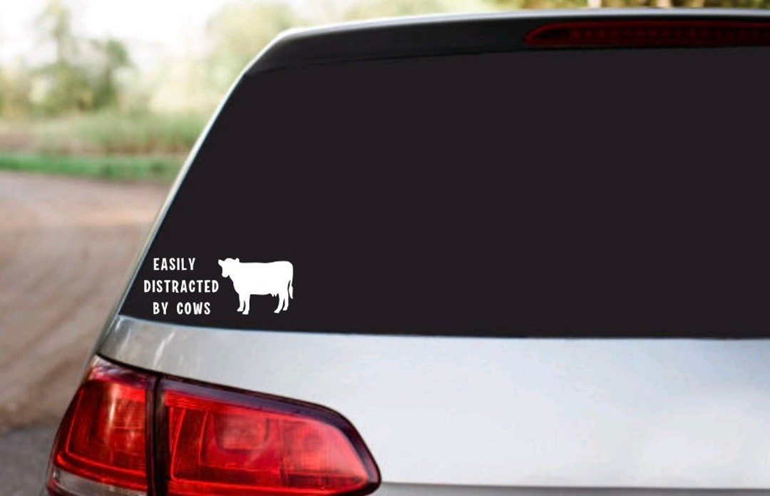 Easily Distracted by Cows Bumper Sticker- Car Decal- Laptop Sticker ...